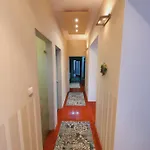 Apartament Adel